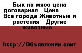 Бык на мясо цена договарная › Цена ­ 300 - Все города Животные и растения » Другие животные   